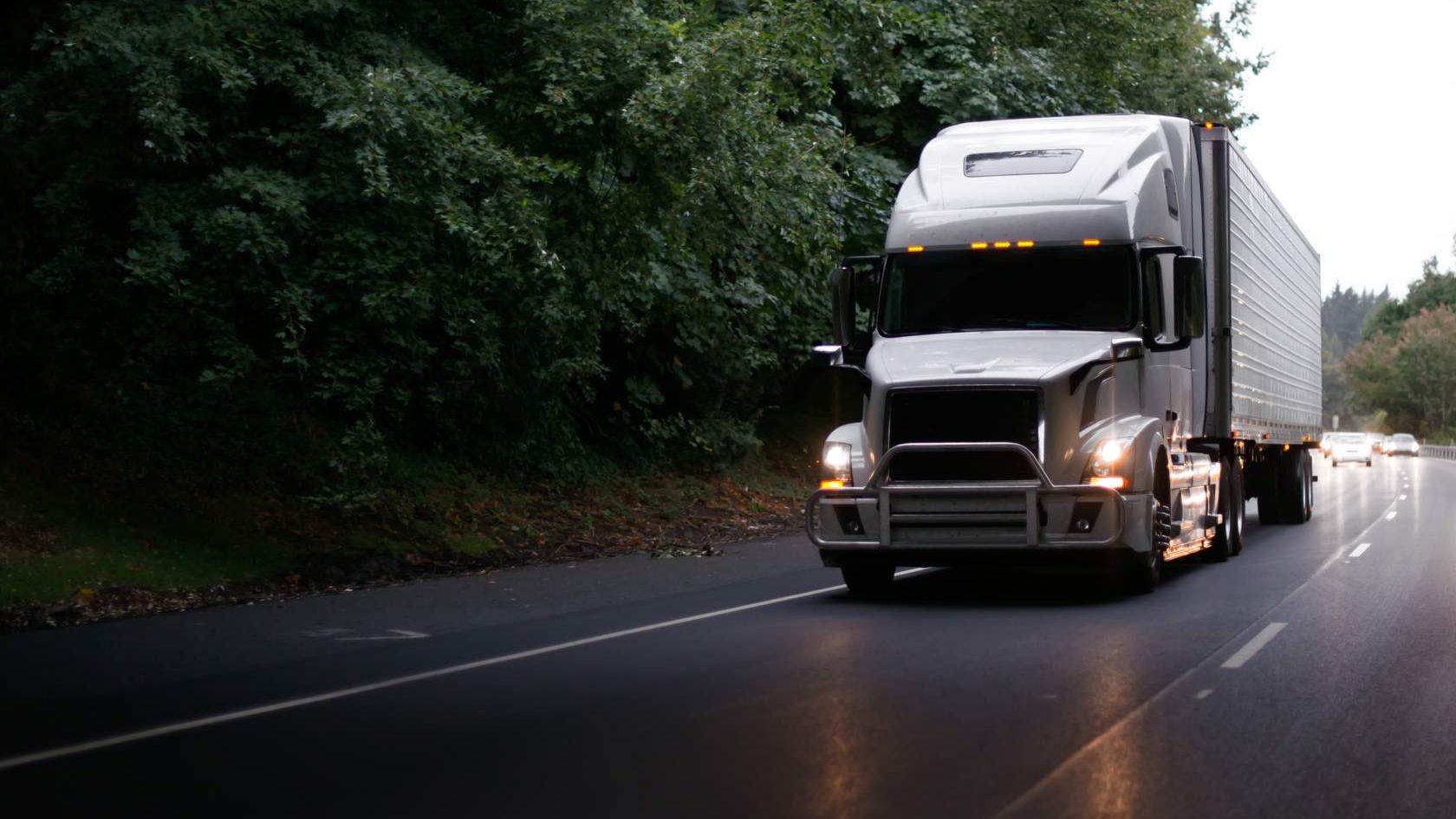Truck driving through forest.